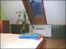 tilto3_3.jpg - 